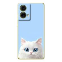 Чехол на тематику: Коты для Motorola MOTO G85 – Белый кот