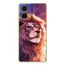 Чехол с картинкой на Motorola MOTO G85 – Красочный ЛЕВ