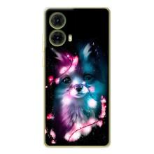 Чехол с Лисичкой для Motorola MOTO G85 – Черная Лиса