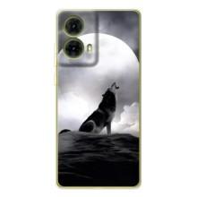 Чехол с Волком на Motorola MOTO G85 – Волк и луна