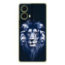 Чохол з картинкою ЛЕВ для Motorola MOTO G85 (VPrint) (Синій Лев)