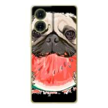 Чохол (ТПУ) Милі песики для Motorola MOTO G85 (Смішний Мопс)