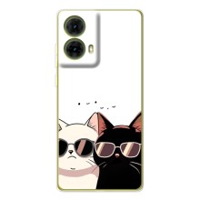Чехол с рисунком кот на Motorola MOTO G85 (Коты в очках)