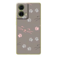 Чехол с рисунком кот на Motorola MOTO G85 (Лапы и усы)