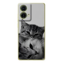 Чехол с рисунком кот на Motorola MOTO G85 (Пара котов)