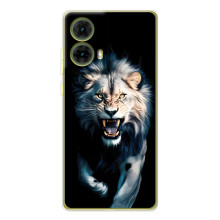 Чехол с картинкой «Хищники» для Motorola MOTO G85 – Лев