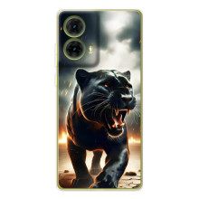 Чехол с картинкой «Хищники» для Motorola MOTO G85 – Пантера