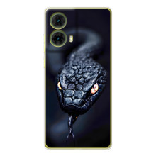 Чехол с картинкой «Хищники» для Motorola MOTO G85 – Змея