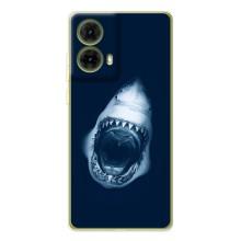 Силіконовий бампер з картинкою звірів для Motorola MOTO G85 (Пащу Акули)