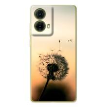 Силиконовый Чехол с одуванчиками на Motorola MOTO G85 – Роздумаханый одуванчик