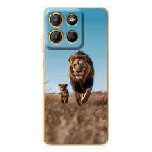 Чехол Король лев на Мото Джи86 Павер (Мусафа и Симба)