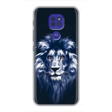 Чохол з картинкою ЛЕВ для Motorola MOTO G9 Play (VPrint) (Синій Лев)