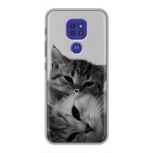 Чехол с рисунком кот на Motorola MOTO G9 Play – Пара котов