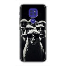 Чехол с принтом стильные животные для Мото G9 Плей – Овечка в очках