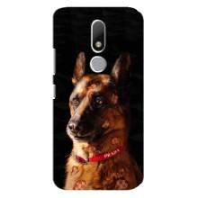 Чохли з картинкою животних Motorola Moto M – Овчарка