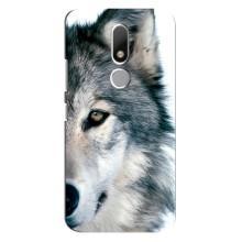 Чохли з картинкою животних Motorola Moto M – Вовк