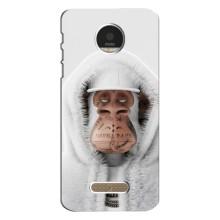 Чехлы с Обезьянами NFT для Motorola MOTO Z Play (AlphaPrint) (обезьяна NFT в тату)