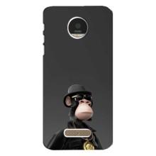 Чехлы с Обезьянами NFT для Motorola MOTO Z Play (AlphaPrint) (Обезьяна NFT)