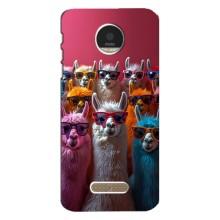 Чохол з принтом стильні тварини для Моторола МОТО Z Плей – Лами в окулярах