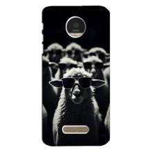 Чохол з принтом стильні тварини для Моторола МОТО Z Плей – Овечка в окулярах