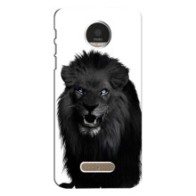 Чохли з картинкою животних Motorola MOTO Z