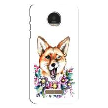 Чохли з картинкою Лисичка для Motorola MOTO Z (VPrint) (Весела лисичка)