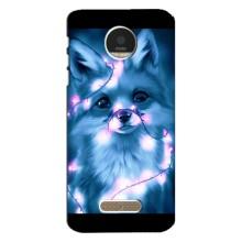 Чохли з картинкою Лисичка для Motorola MOTO Z (VPrint) (Яскрава лисичка)
