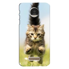 Чохли з Котиками для Motorola MOTO Z (VPrint) (Прижок кота)