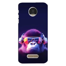 Чехол с Обезьянами Motorola MOTO Z - (AlphaPrint) (Стильная обезьяна)