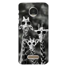 Силіконовий чохол з КАРТИНКАМИ літо для Motorola MOTO Z (AlphaPrint) – Жирафи в окулярах