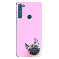 Бампер для Motorola One Fusion Plus с картинкой "Песики" – Собака на розовом