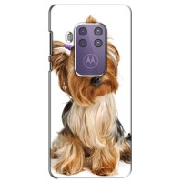 Чехол (ТПУ) Милые собачки для Motorola One Marco – Собака Терьер