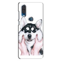 Бампер для Motorola One Vision с картинкой "Песики" (Собака Хаски)