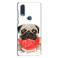 Чехол (ТПУ) Милые собачки для Motorola One Vision – Смешной Мопс