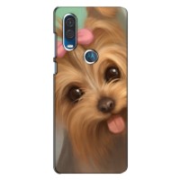 Чехол (ТПУ) Милые собачки для Motorola One Vision (Йоршенский терьер)