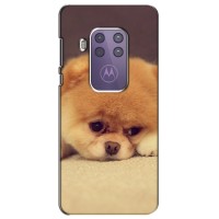 Чехол (ТПУ) Милые собачки для Motorola One Zoom (Померанский шпиц)