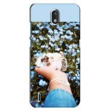 Чехлы с изображением разных животных для Nokia 1.3 (Ежик на руках)