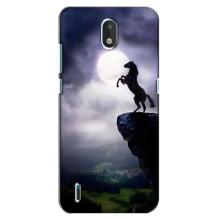 Чехлы с изображением разных животных для Nokia 1.3 (Лошадь)