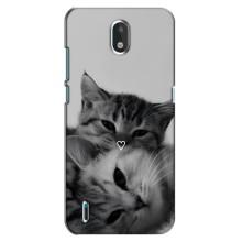 Чехол с рисунком кот на Nokia 1.3 – Пара котов