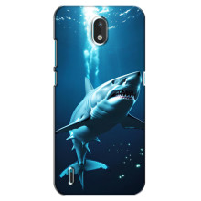 Чехол с картинкой «Хищники» для Nokia 1.3 – Акула