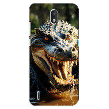 Чехол с картинкой «Хищники» для Nokia 1.3 – Крокодил