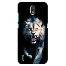 Чехол с картинкой «Хищники» для Nokia 1.3 – Лев