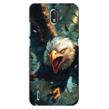 Чехол с картинкой «Хищники» для Nokia 1.3 – Орёл