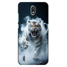 Чехол с картинкой «Хищники» для Nokia 1.3 – Тигр