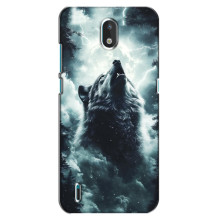 Чохол з картинкою 'Хижаки' для Nokia 1.3