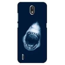 Силиконовый бампер с картинкой животных для Nokia 1.3 (Пасть Акулы)