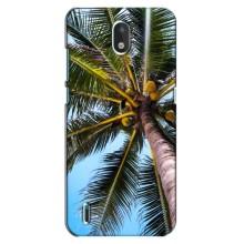 Силиконовый чехол с КАРТИНКАМИ лето для Nokia 1.3 (AlphaPrint) – Пальма