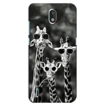 Силиконовый чехол с КАРТИНКАМИ лето для Nokia 1.3 (AlphaPrint) – Жирафы в очках