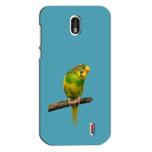 Силиконовый чехол с птичкой на Nokia 1 – Попугайчик