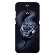 Чохол з картинкою 'Хижаки' для Nokia 2.3 – Змія